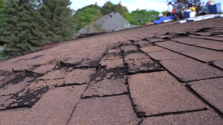 Best Asphalt Shingles Roofing  in Winston Salem, NC