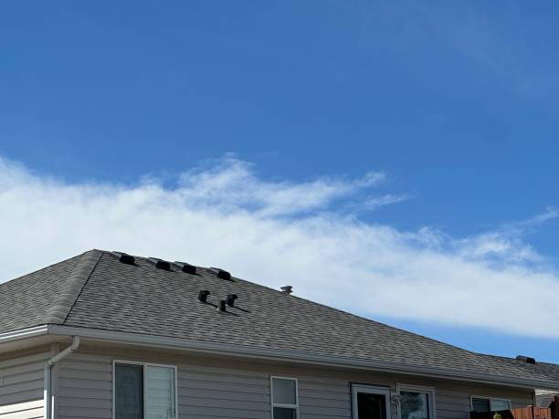 Best Asphalt Shingle Roofing  in Winston Salem, NC